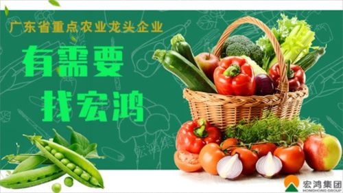 上海生鲜农产品配送公司